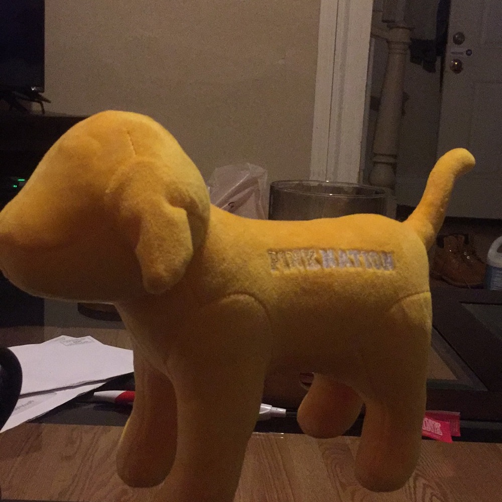 Victoria secret pink dog